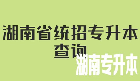 湖南省统招专升本查询