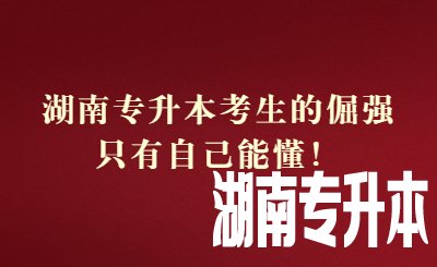 元旦节祝福创意大字公众号首图.jpg