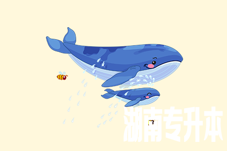 湖南专升本考试资料2021