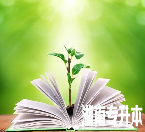 2020年湖南统招专升本政策解析