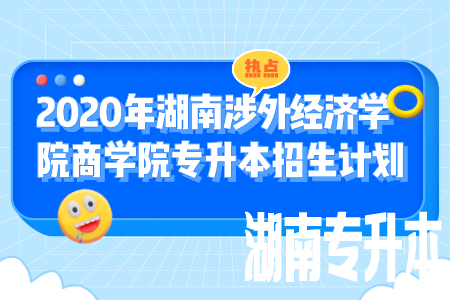 湖南涉外经济学院商学院专升本