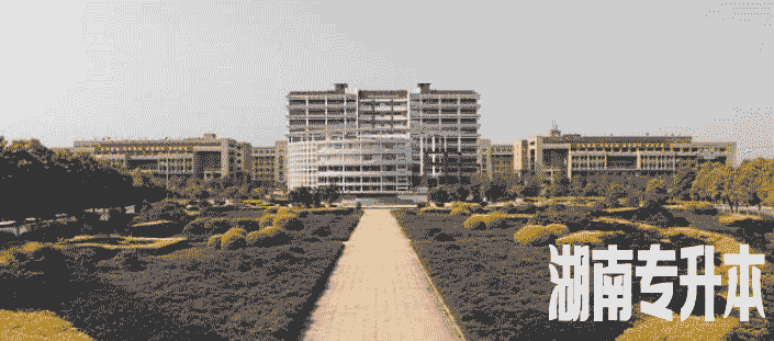 湖南工学院2020年“专升本”工作实施方案