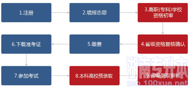 湖南专升本报名流程